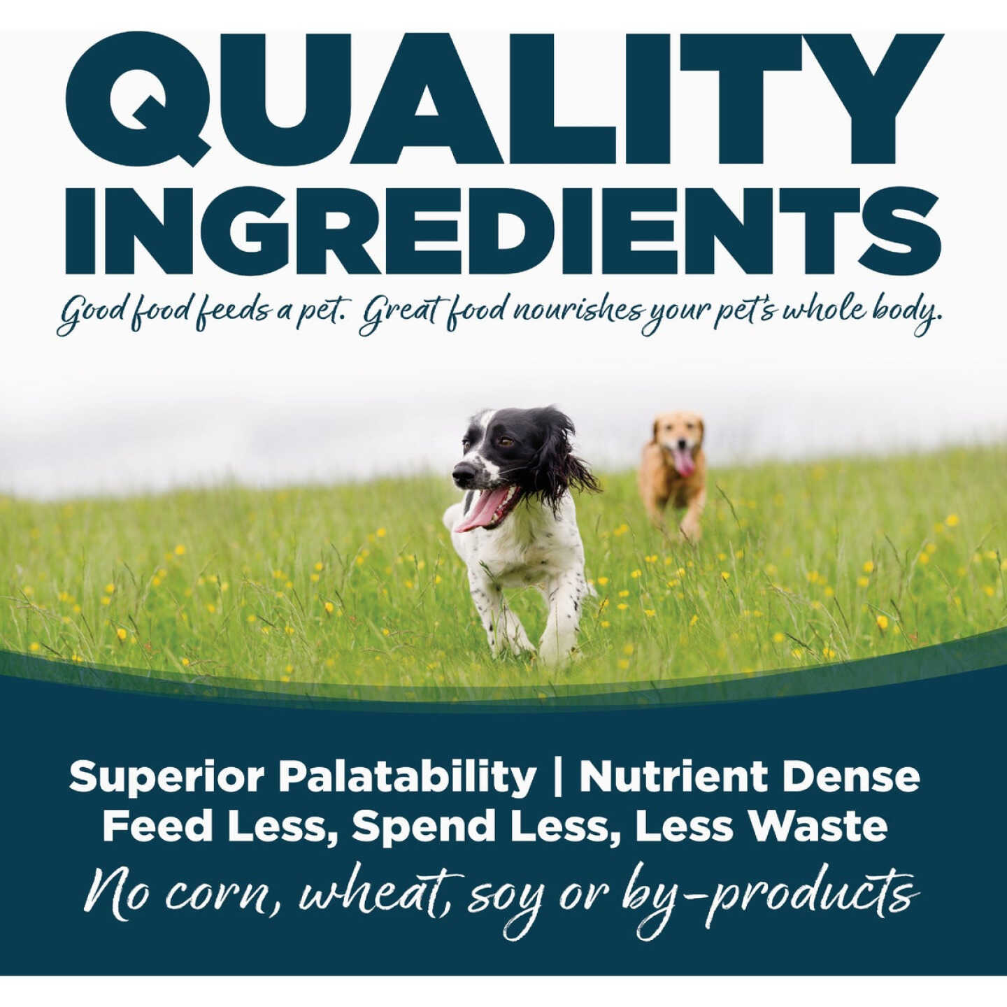 NutriSource 4 Lb. Chicken & Rice Recipe Small Bites Dog Food Image 4