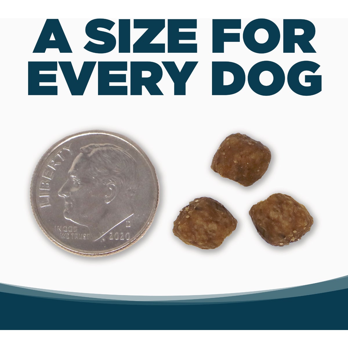 NutriSource 4 Lb. Chicken & Rice Recipe Small Bites Dog Food Image 3