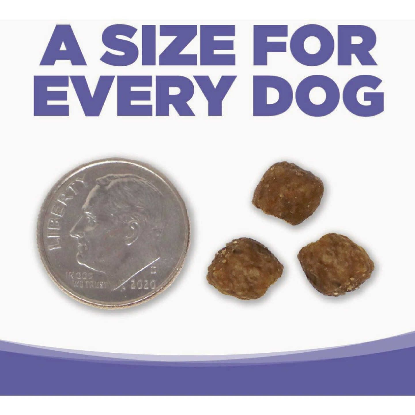 NutriSource 4 Lb. Small & Medium Breed Puppy Food Image 2