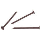Hillman Anchor Wire 1-1/4 In. 15 ga Brown Stainless Steel Trim Nails (5 Ct., 6 Oz.) Image 1