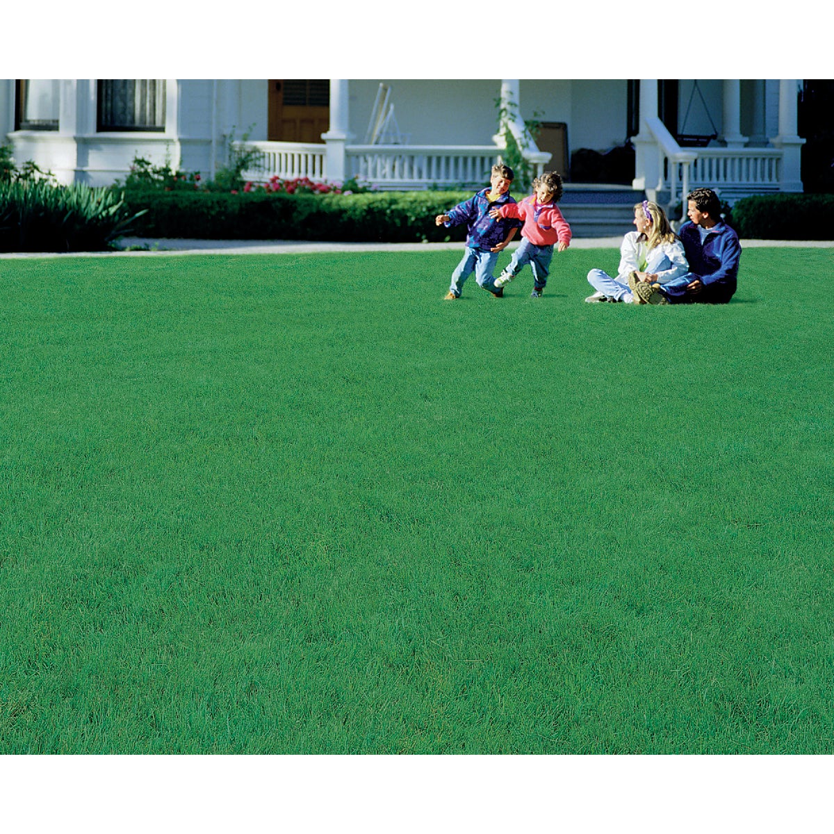 Wonderlawn Quick Lawn 3 Lb. 900 Sq. Ft. Coverage Annual & Perennial Ryegrass Grass Seed Image 2