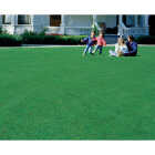 Wonderlawn Quick Lawn 3 Lb. 900 Sq. Ft. Coverage Annual & Perennial Ryegrass Grass Seed Image 2