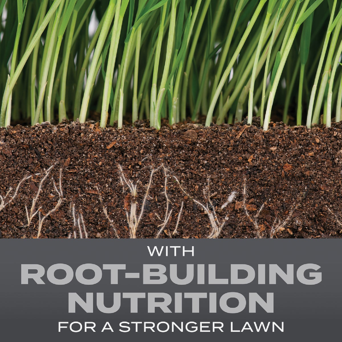 Scotts Turf Builder 5.6 Lb. 465 Sq. Ft. Pacific Northwest Mix Grass Seed, Fertilizer, and Soil Improver Combination Image 2