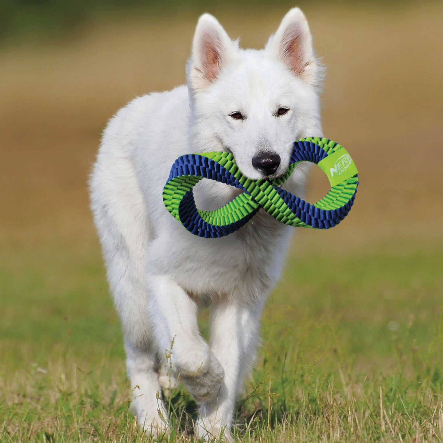 Nerf Dog 12 In. Nylon Square Braided Twisted Infinity Tug Dog Toy Image 4
