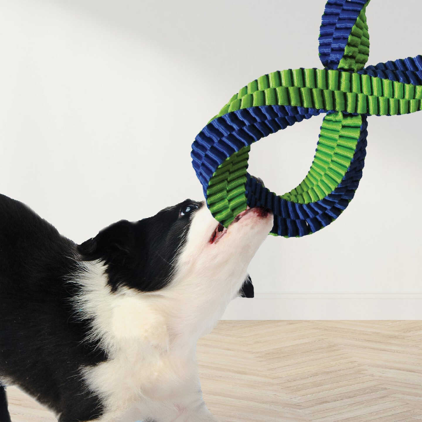 Nerf Dog 12 In. Nylon Square Braided Twisted Infinity Tug Dog Toy Image 3
