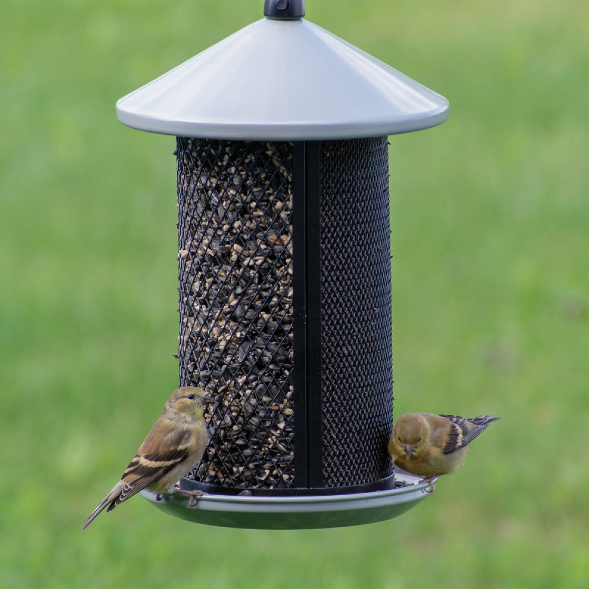 Perky-Pet Gray Dual Mesh Seed Feeder Image 4