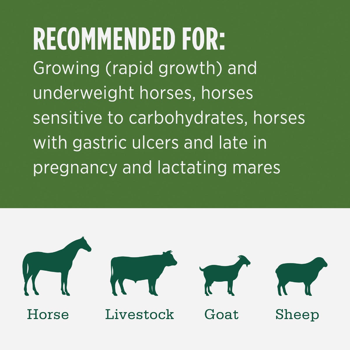 Standlee Premium Western Forage 50 Lb. Premium Alfalfa Grab & Go Compressed Bale Image 3