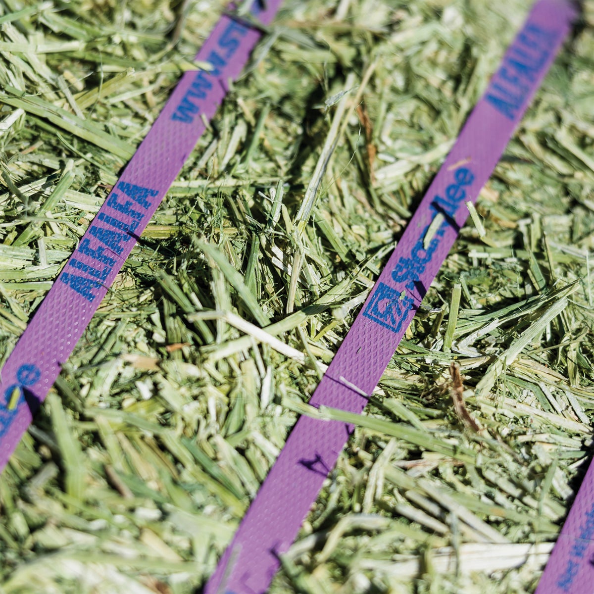 Standlee Premium Western Forage 50 Lb. Premium Alfalfa Grab & Go Compressed Bale Image 6