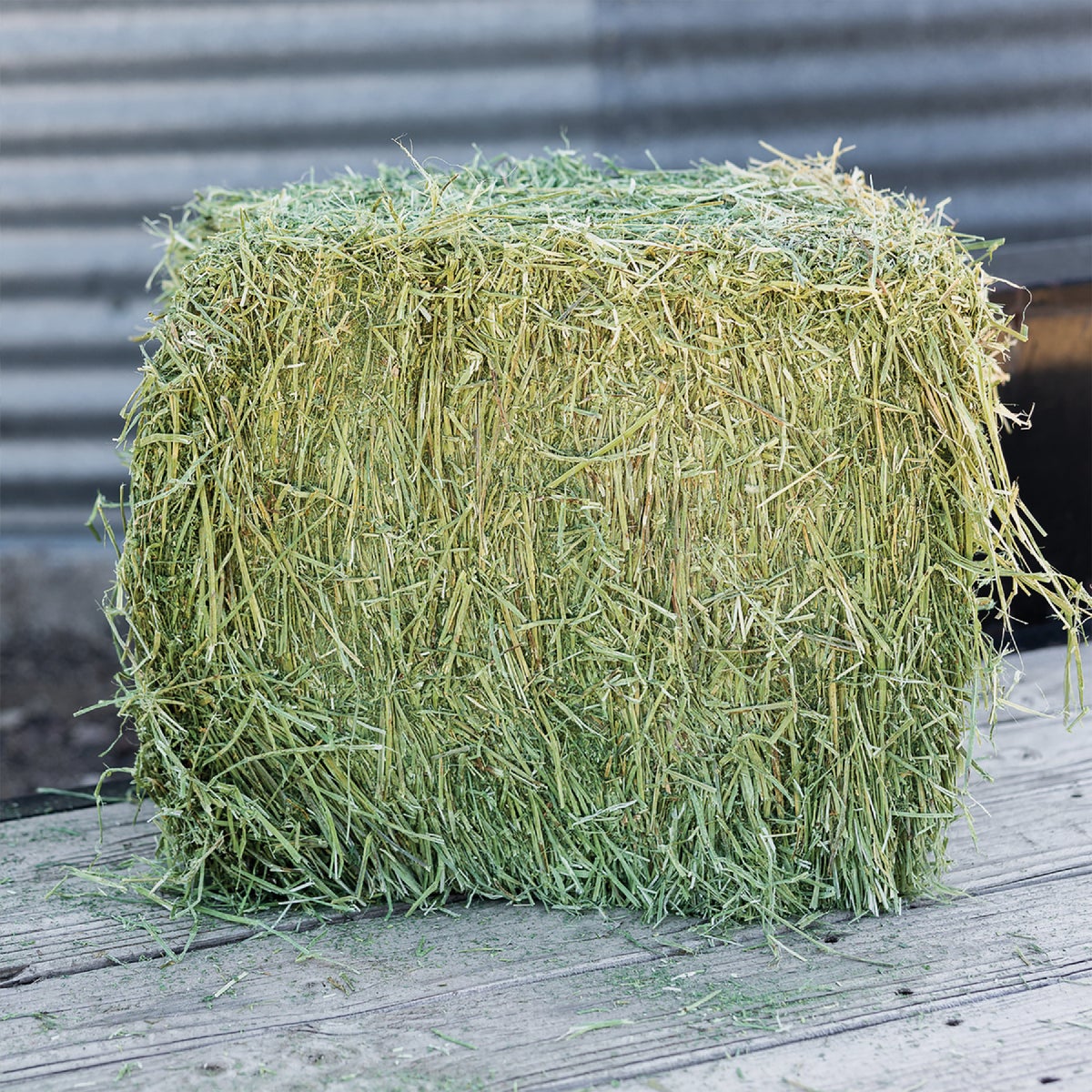 Standlee Premium Western Forage 50 Lb. Premium Alfalfa Grab & Go Compressed Bale Image 7