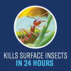 BioAdvanced Complete 32 Oz. Ready To Spray Hose End Insect Killer Image 3