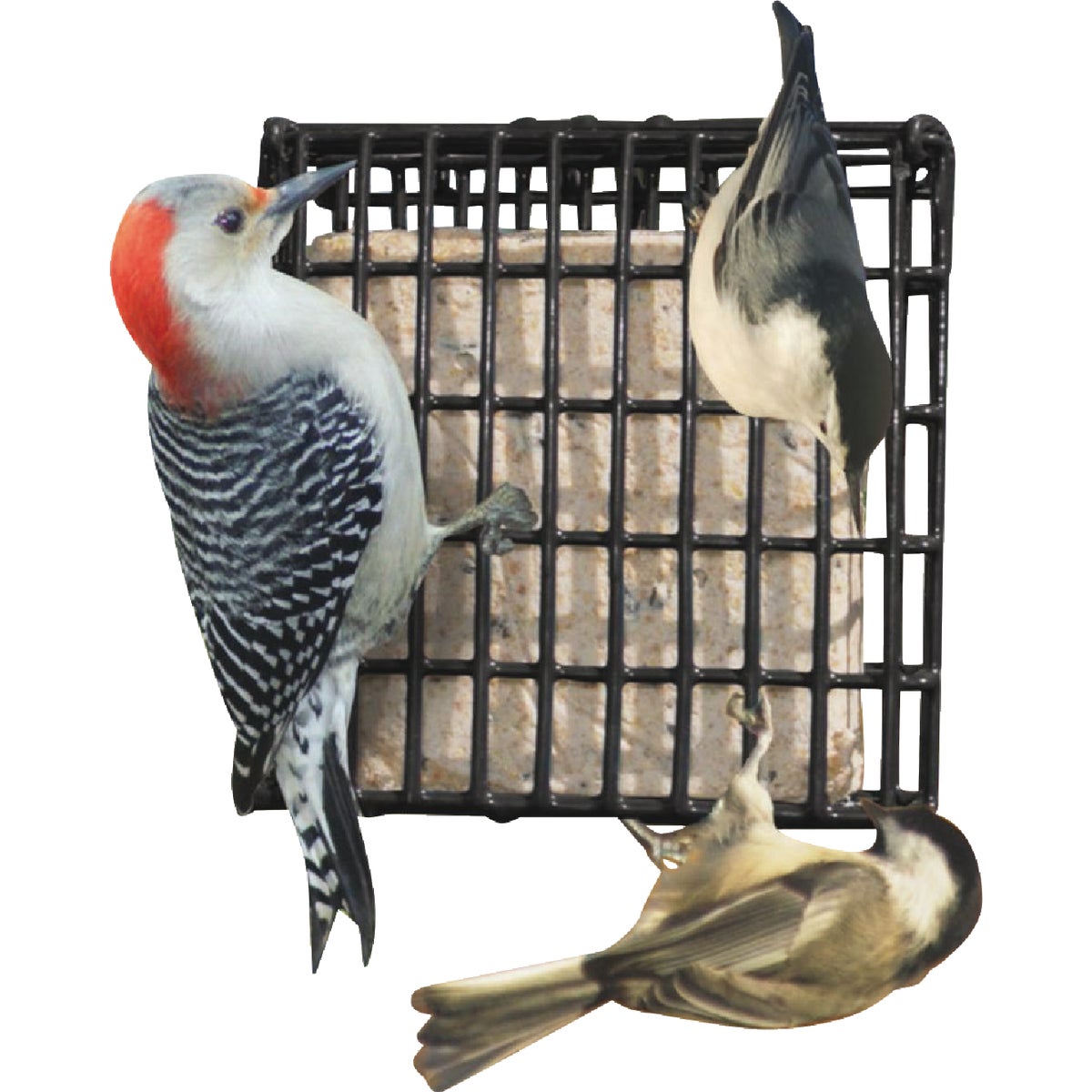 Wildlife Sciences Songbird Treats 1.75 Lb. Woodpecker Crunch Seed Bar