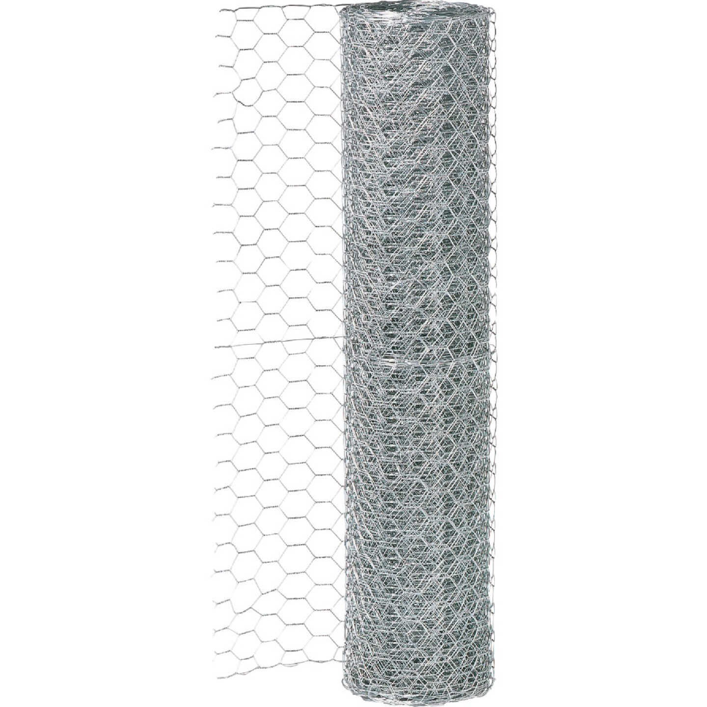 Do it 1 In. x 24 In. H. x 25 Ft. L. Hexagonal Wire Poultry Netting Image 2