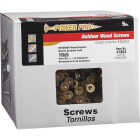 5LB 10X5 EXT SCREW Image 1