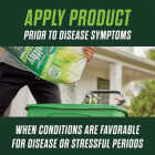 Scotts Turf Builder Healthy Plus Lawn Food FL 8000 Sq. Ft. 2-In-1 Fungicide & Fertilizer Image 8