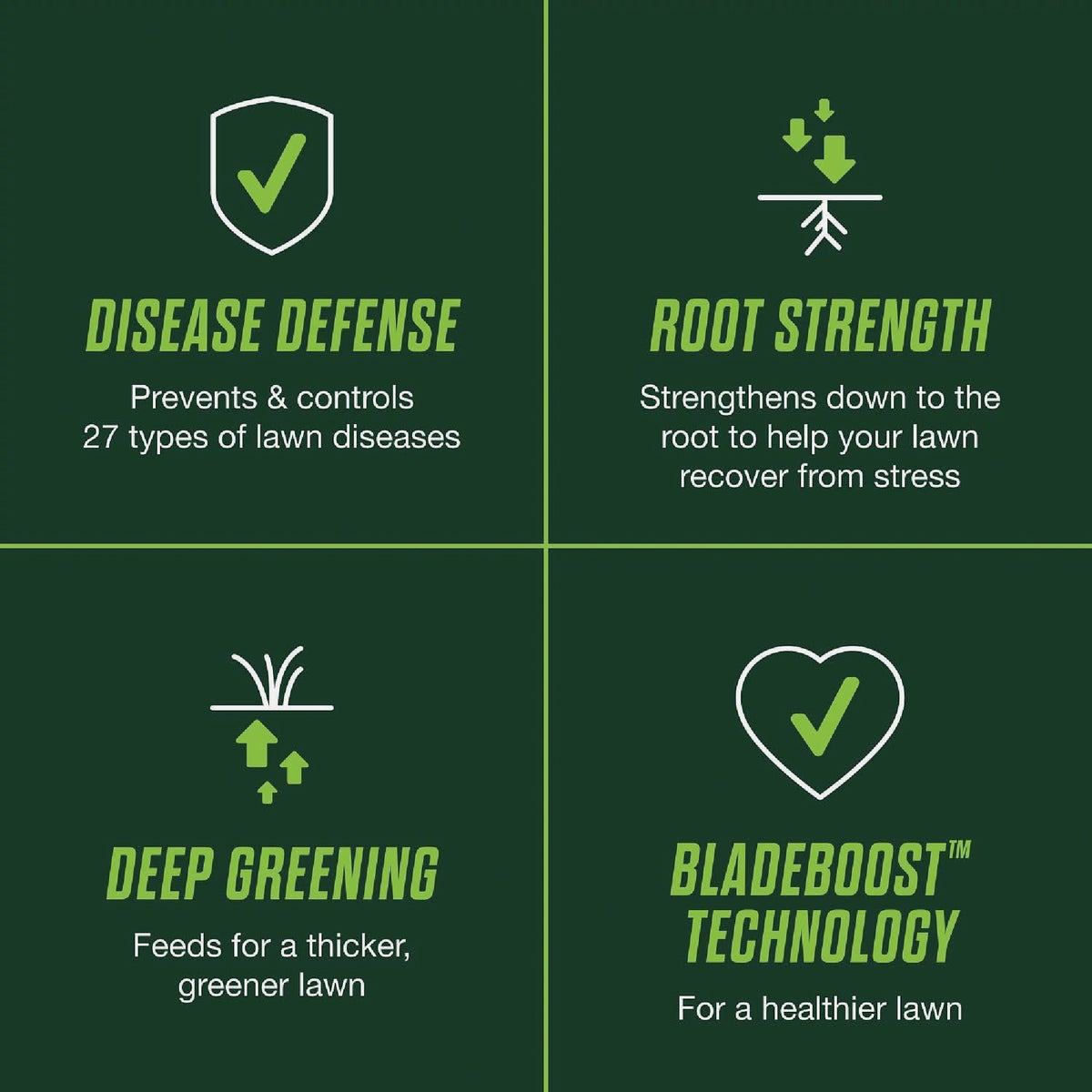 Scotts Turf Builder Healthy Plus Lawn Food FL 8000 Sq. Ft. 2-In-1 Fungicide & Fertilizer Image 4