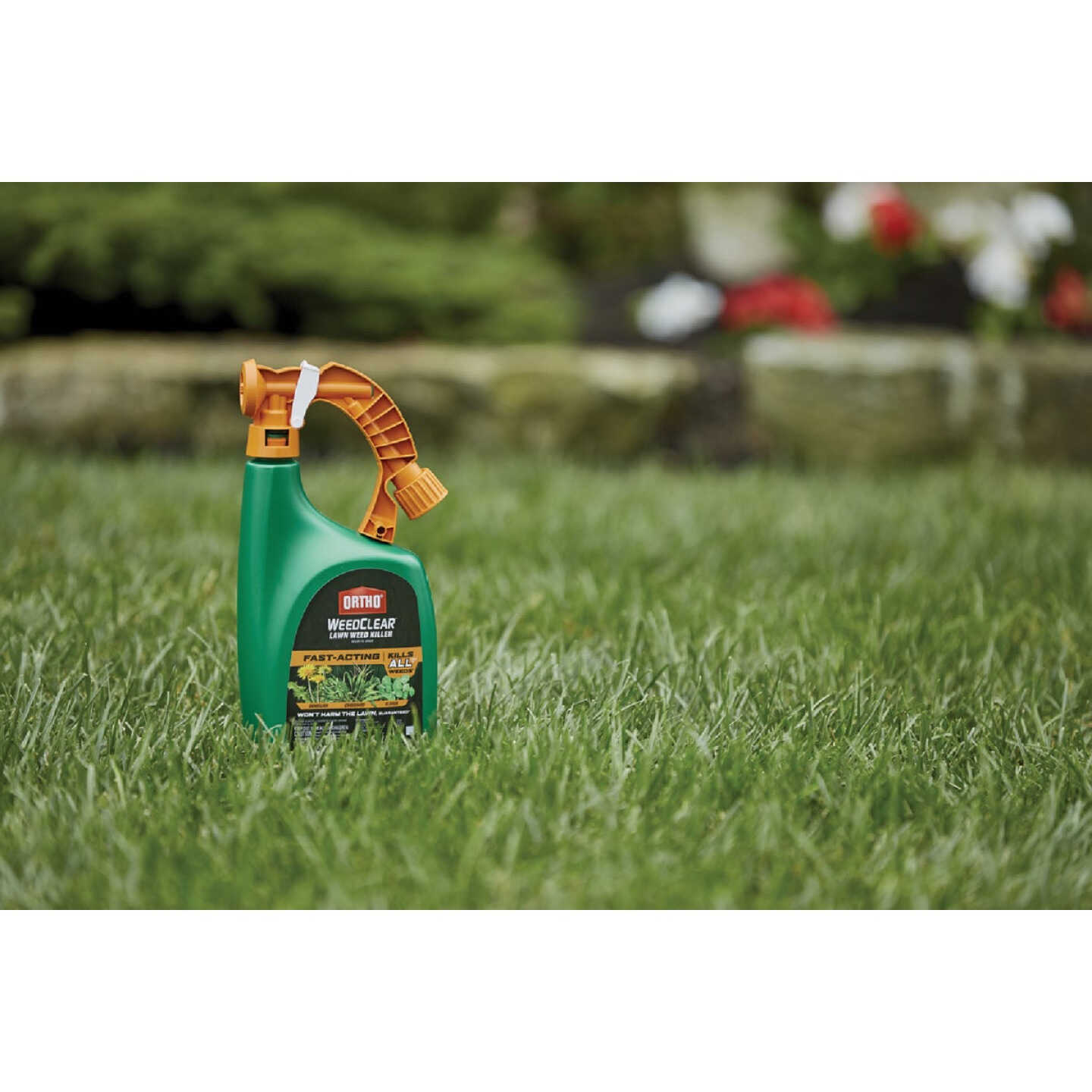 Ortho WeedClear 32 Oz. Ready-To-Use Spray Hose End Lawn Weed Killer Image 5