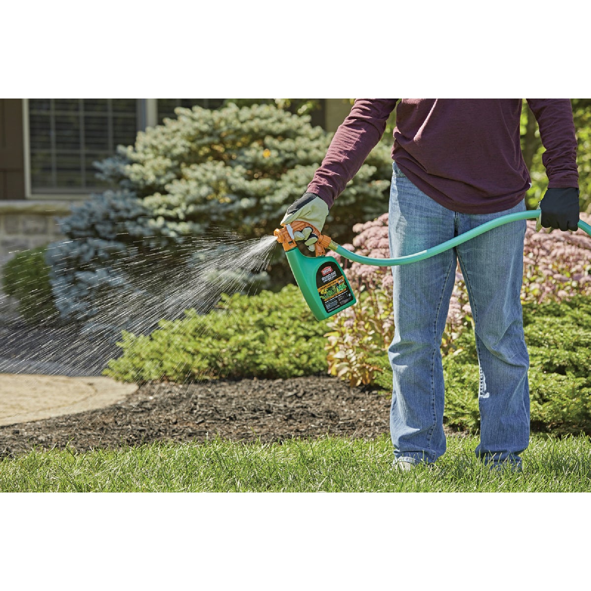 Ortho WeedClear 32 Oz. Ready-To-Use Spray Hose End Lawn Weed Killer Image 2