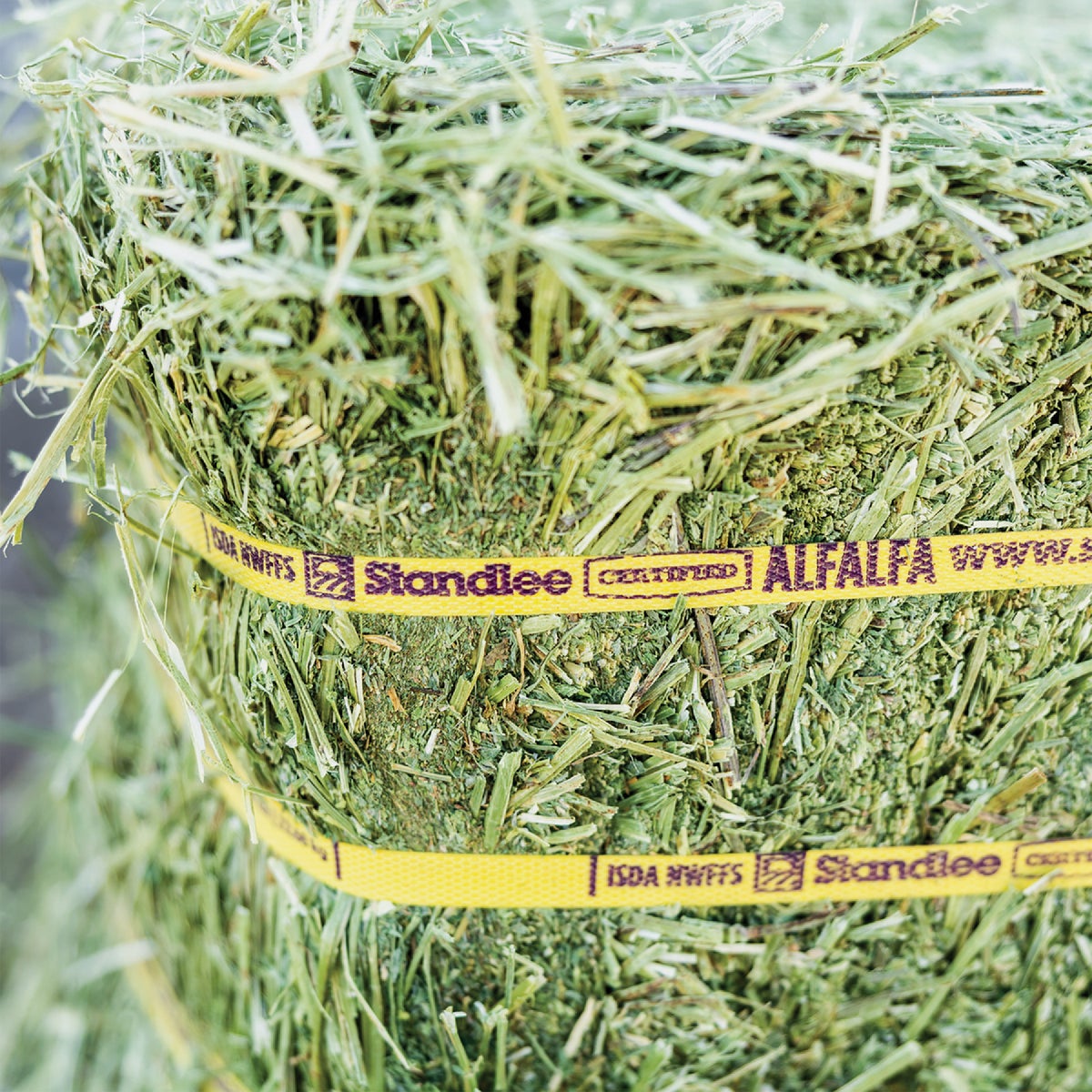 Standlee Premium Western Forage 50 Lb. Certified Alfalfa Compressed Bale Image 6