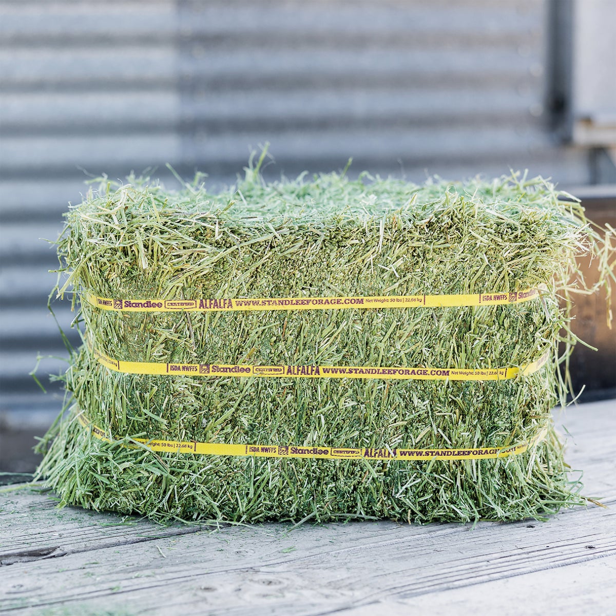 Standlee Premium Western Forage 50 Lb. Certified Alfalfa Compressed Bale Image 5