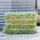 Standlee Premium Western Forage 50 Lb. Certified Alfalfa Compressed Bale Image 5