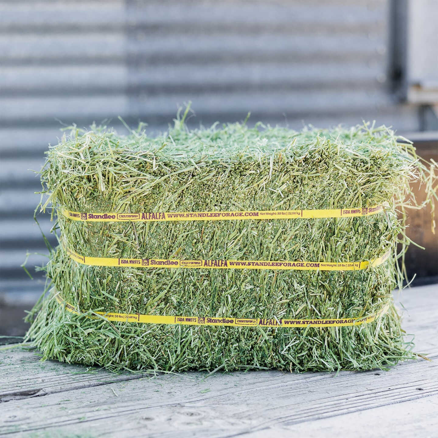 Standlee Premium Western Forage 50 Lb. Certified Alfalfa Compressed Bale Image 5