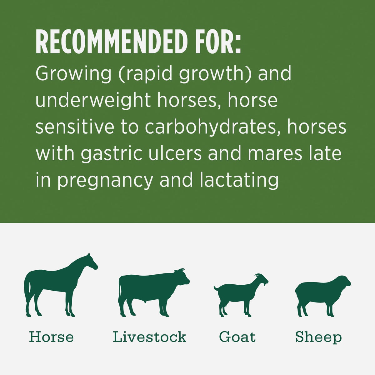 Standlee Premium Western Forage 50 Lb. Certified Alfalfa Compressed Bale Image 3