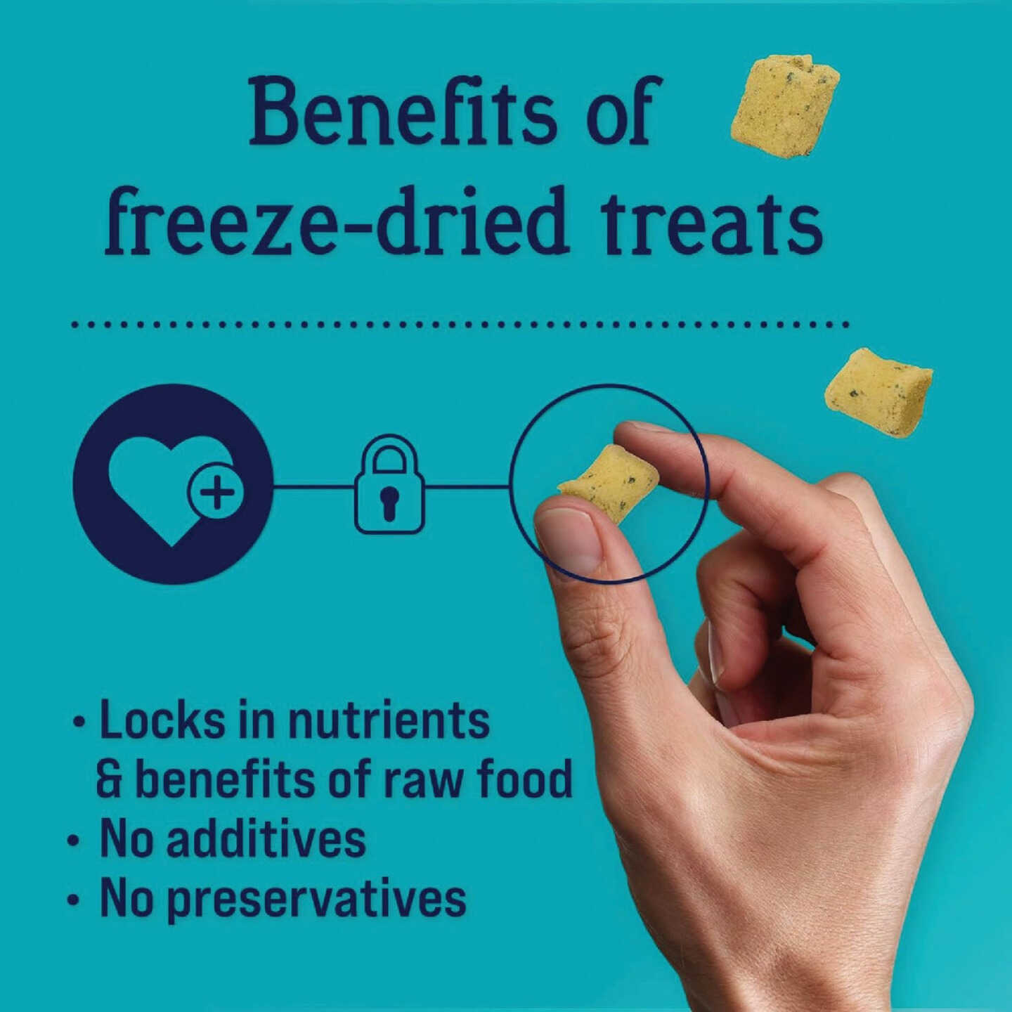 Stewart Shine 8 Oz. Freeze-Fried Salmon & Sweet Potato Dog Treat Image 3