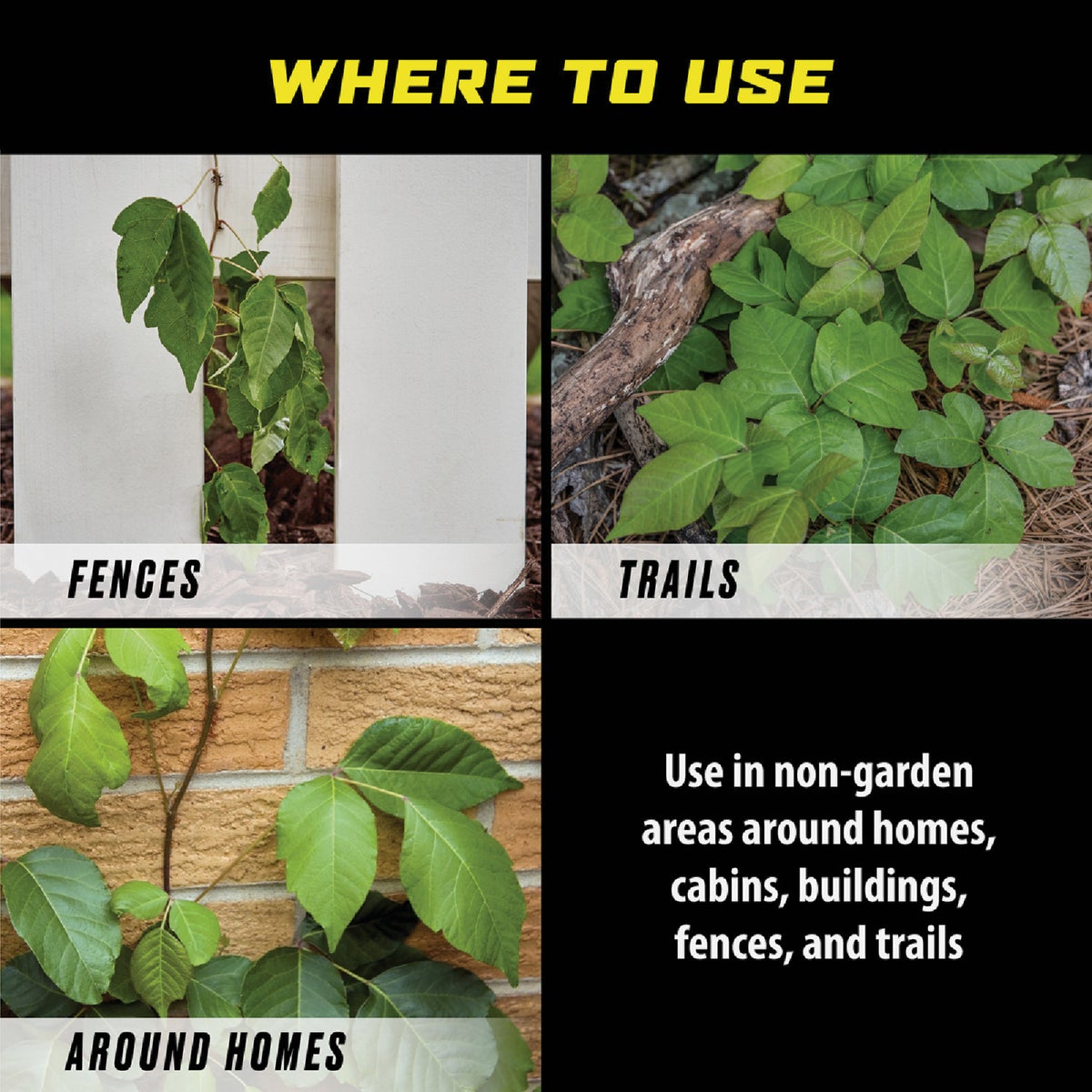 Ortho GroundClear 32 Oz. Concentrate Poison Ivy & Tough Brush Killer Image 6