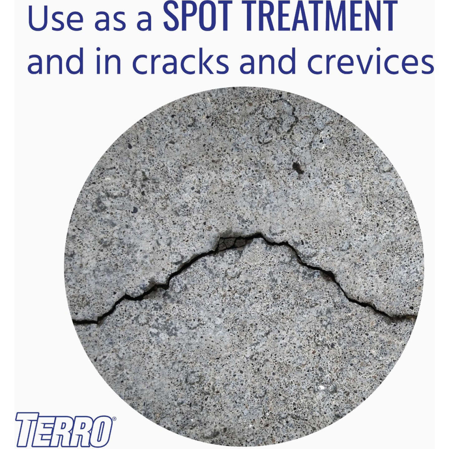 Terro 16 Oz. Aerosol Spray Ant Killer Image 5