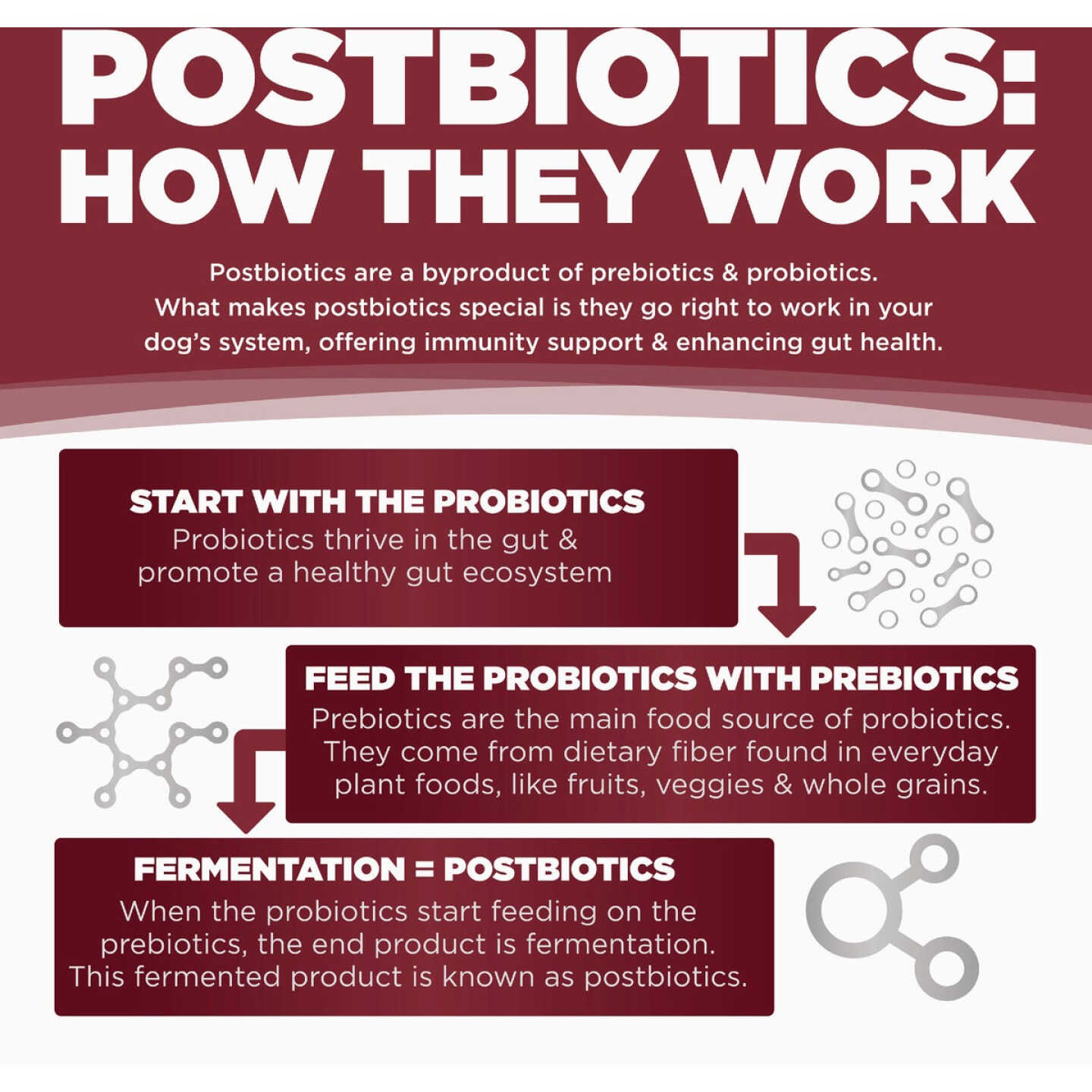 NutriSource Come-Pooch-a 12 Oz. Beef Bone Broth Recipe Image 2