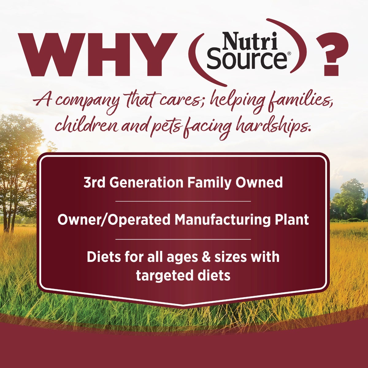 NutriSource Come-Pooch-a 12 Oz. Beef Bone Broth Recipe Image 5