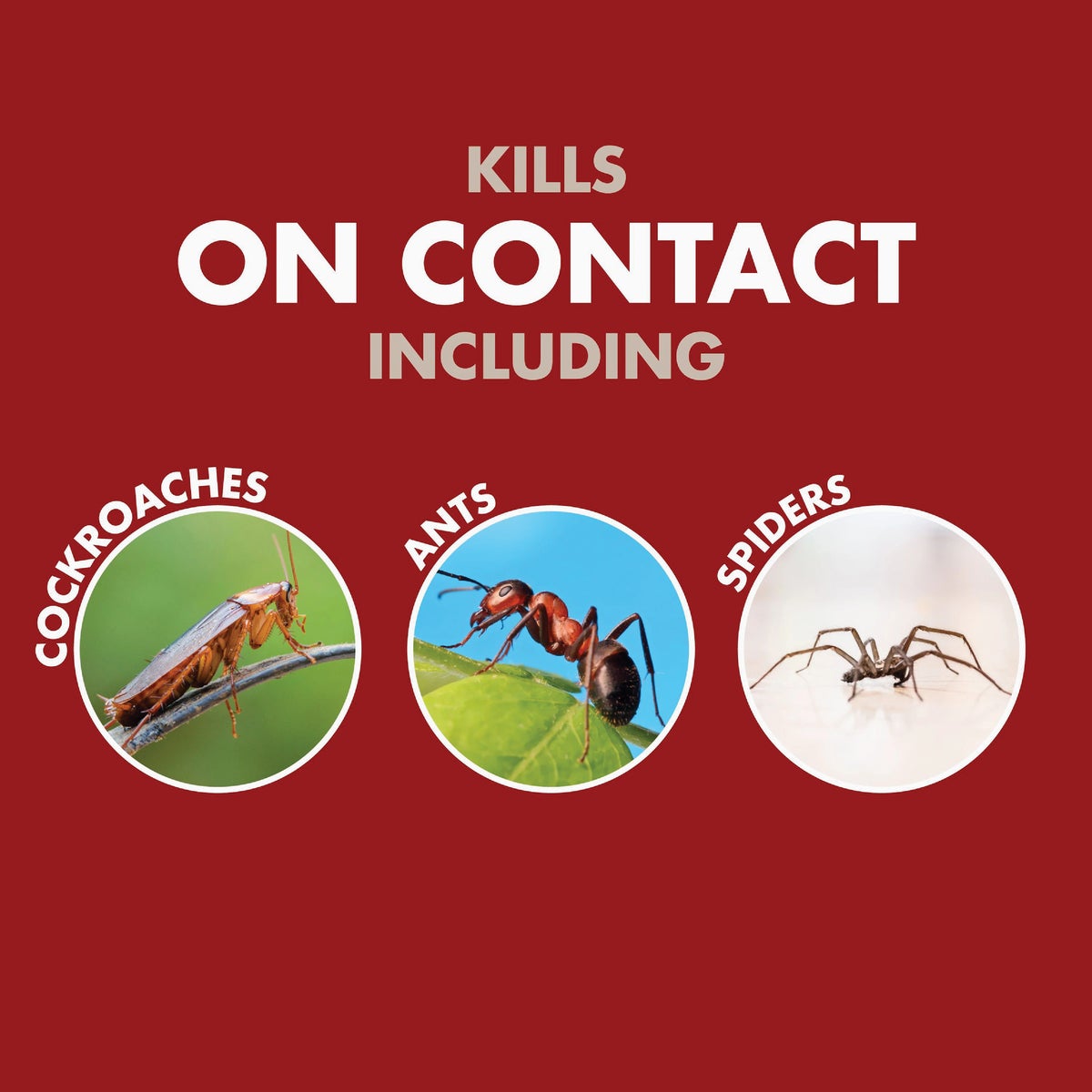 Spectracide Bug Stop Home Barrier 1 Gal. Ready To Use Trigger Spray Insect Killer Image 6