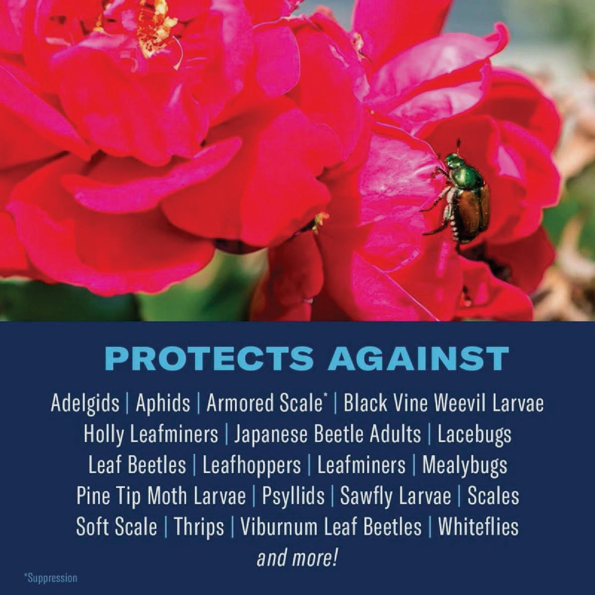 BioAdvanced 2-In-1 5 Lb. Granules Rose & Flower Care Granules Image 2