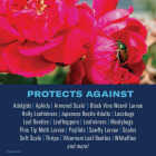 BioAdvanced 2-In-1 5 Lb. Granules Rose & Flower Care Granules Image 2