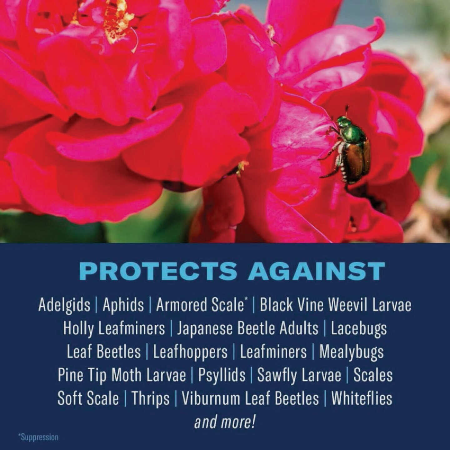 BioAdvanced 2-In-1 5 Lb. Granules Rose & Flower Care Granules Image 2