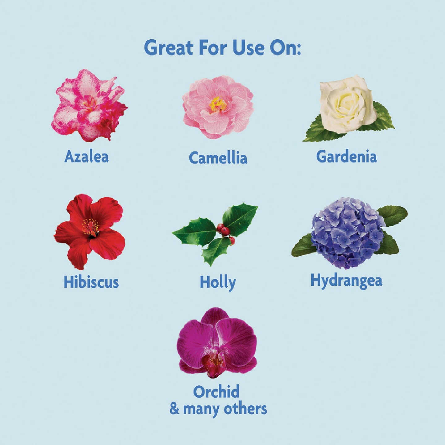 Miracle-Gro Miracid 4 Lb. Water Soluble Acid-Loving Plant Food Image 5