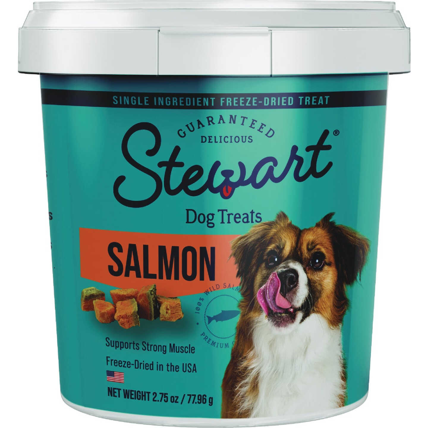 Stewart 2.75 Oz. Tub Wild Salmon Dog Treat Image 1