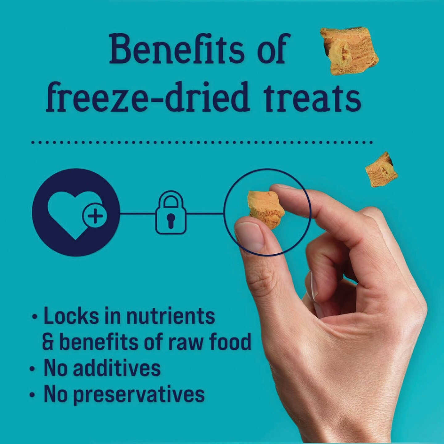 Stewart 2.75 Oz. Tub Wild Salmon Dog Treat Image 4