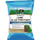 Jonathan Green Blue Panther Kentucky Bluegrass 25 Lb. 20,000 Sq. Ft. Coverage Grass Seed Image 1