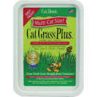 Miracle Care Cat A'bout Cat Grass Plus Image 1
