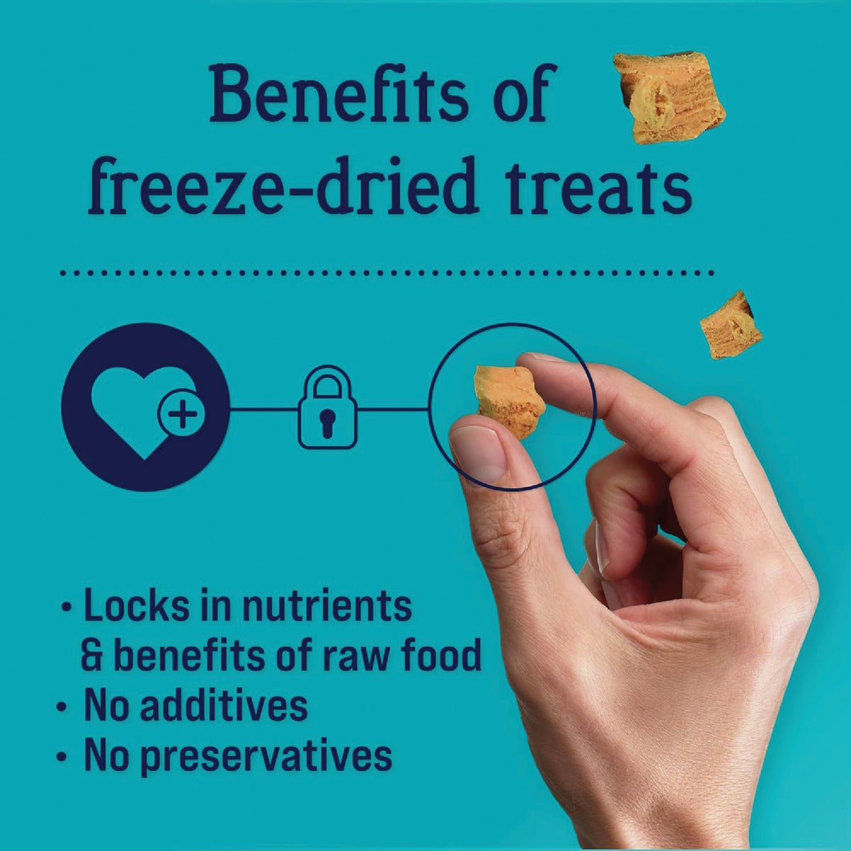 Stewart 2.75 Oz. Pouch Wild Salmon Dog Treat Image 4