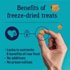 Stewart 2.75 Oz. Pouch Wild Salmon Dog Treat Image 4