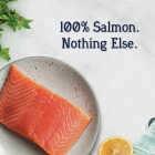 Stewart 2.75 Oz. Pouch Wild Salmon Dog Treat Image 3