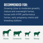 Standlee Premium Western Forage 50 Lb. Premium Timothy Grab & Go Compressed Bale Image 3