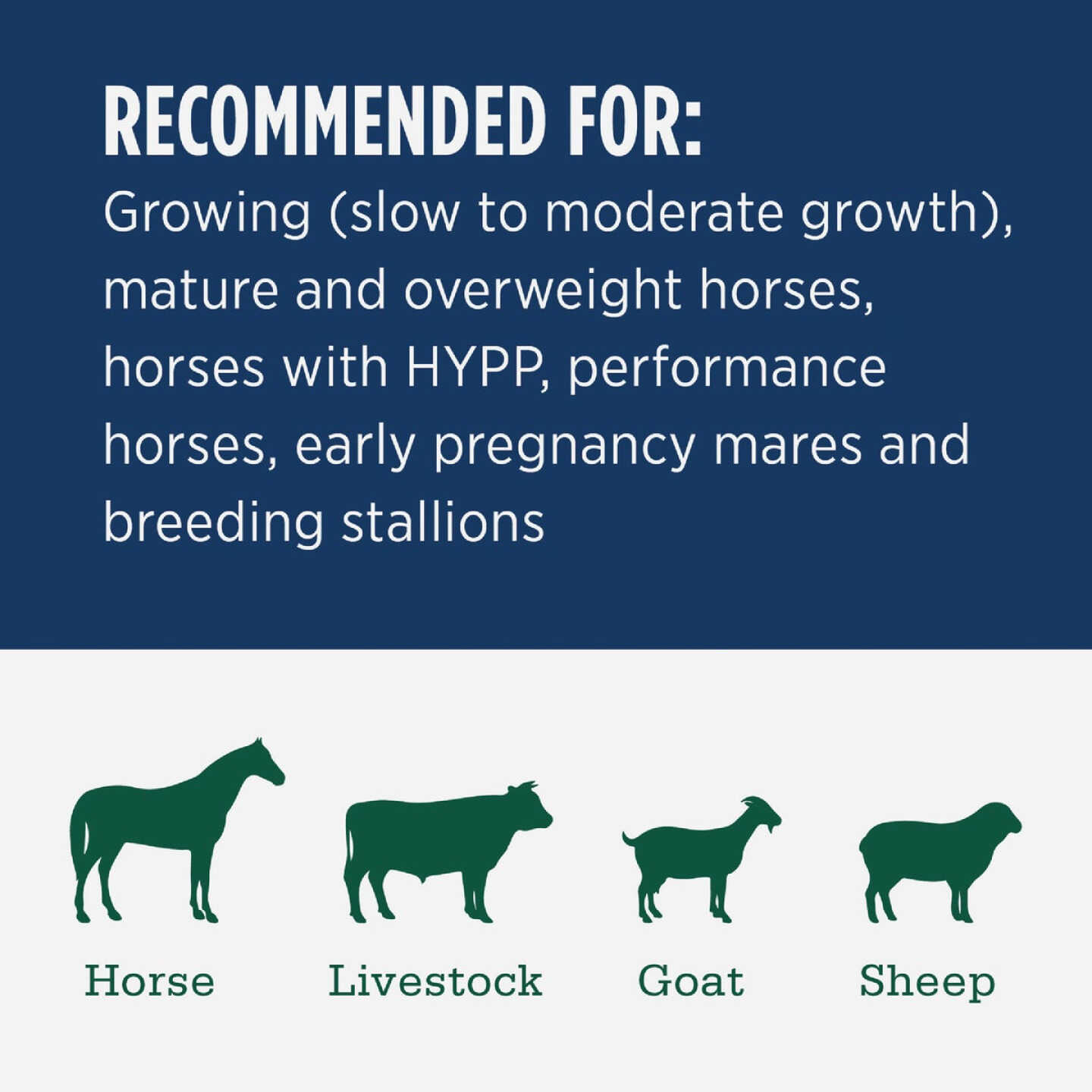 Standlee Premium Western Forage 50 Lb. Premium Timothy Grab & Go Compressed Bale Image 3