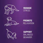 VetIQ 7.4 Oz. Calming Dog Chew (60-Pack) Image 4