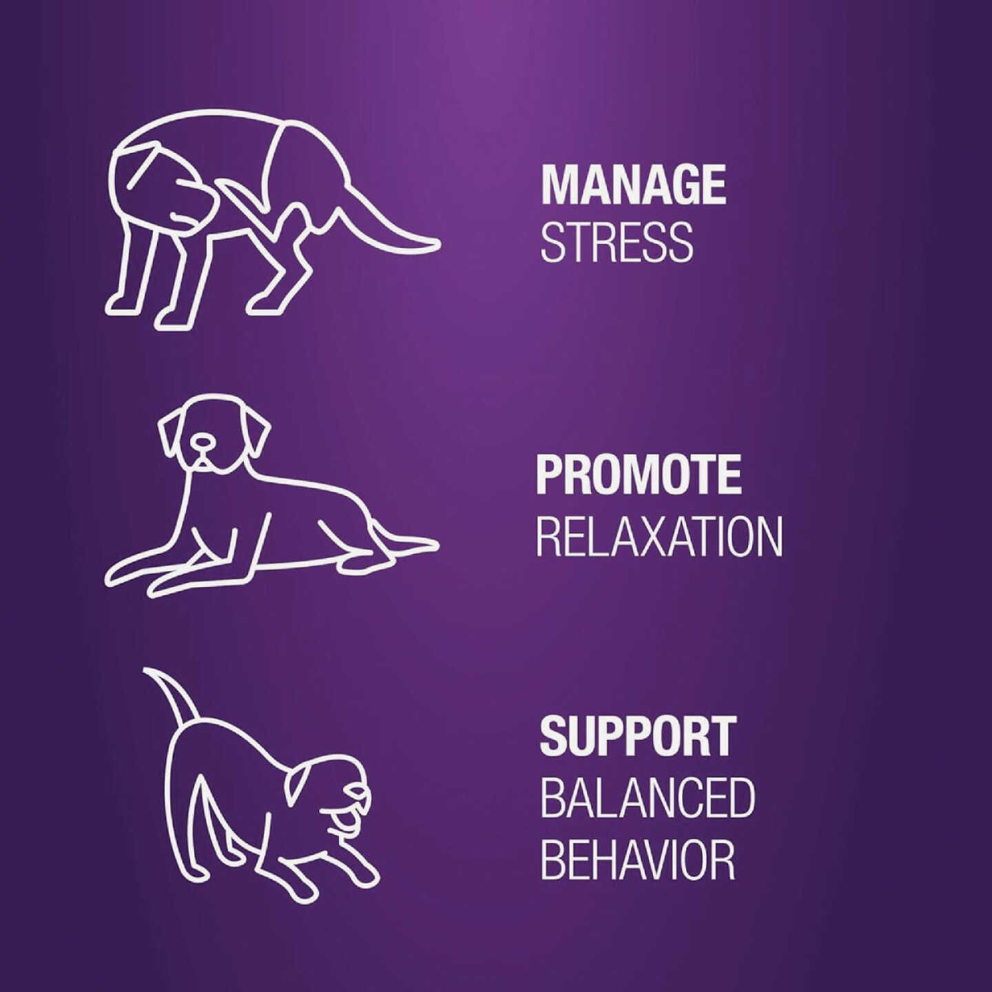 VetIQ 7.4 Oz. Calming Dog Chew (60-Pack) Image 4