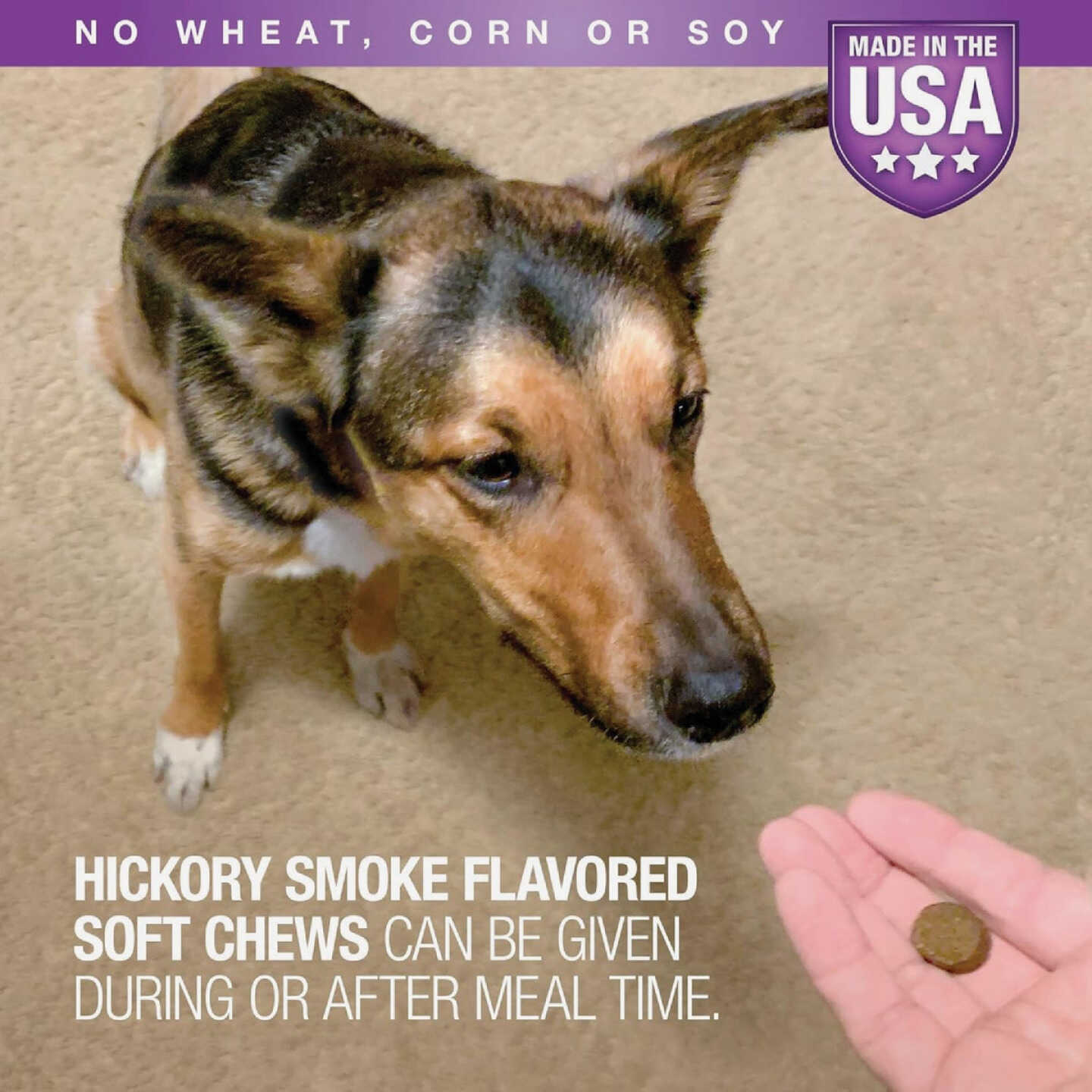 VetIQ 7.4 Oz. Calming Dog Chew (60-Pack) Image 3