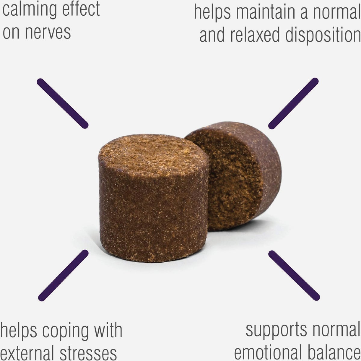 VetIQ 7.4 Oz. Calming Dog Chew (60-Pack) Image 5