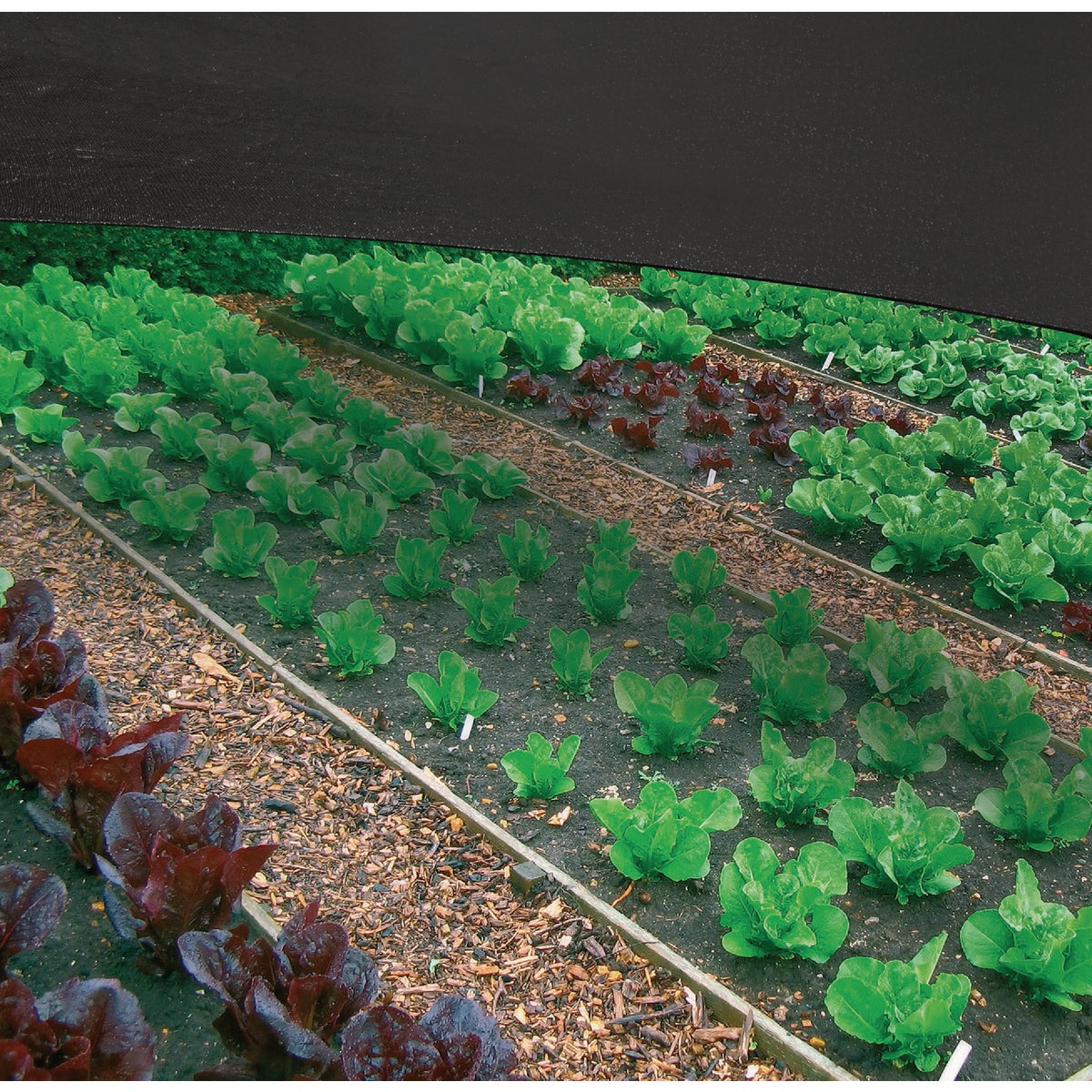 Coolaroo 6 Ft. W. x 15 Ft. L. Black 30% UV Sun Screen Fabric Image 4